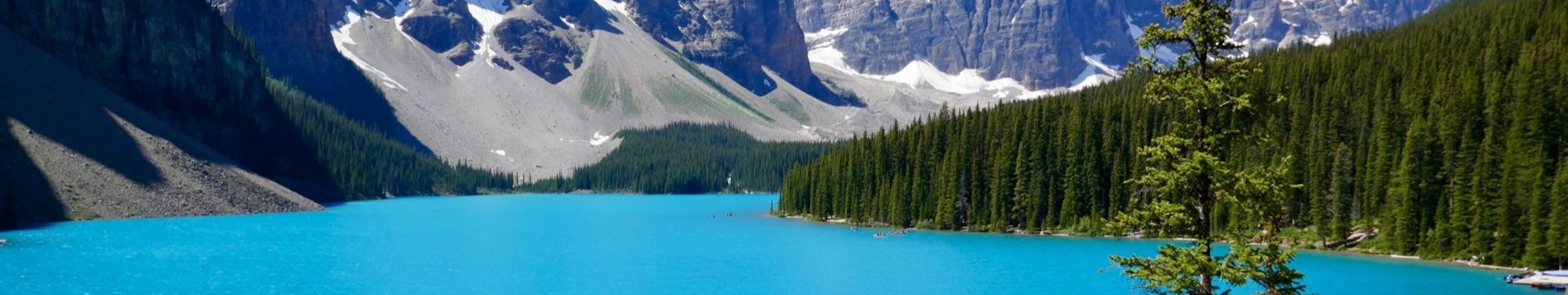 header image